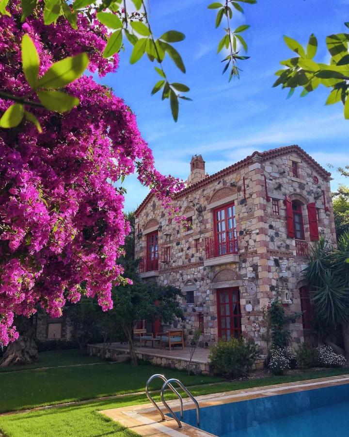 Alacati Zeytin Konak Hotel Екстериор снимка