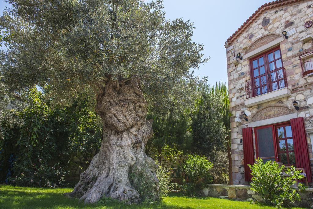 Alacati Zeytin Konak Hotel Екстериор снимка